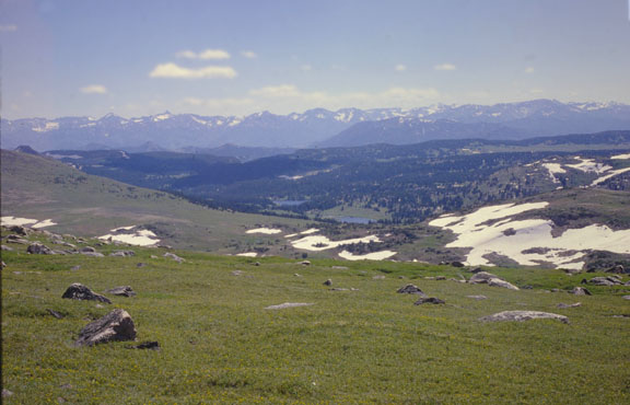 Beartooth mountains