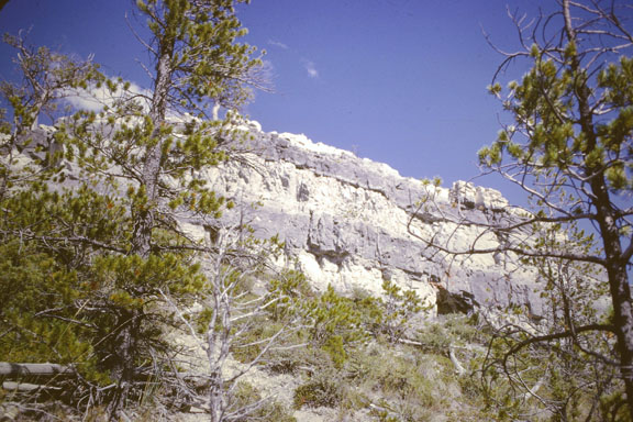 Nevada mountains