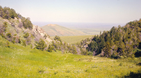 Sweetgrass hills