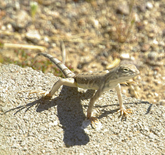 Hank Jorgensen Photo